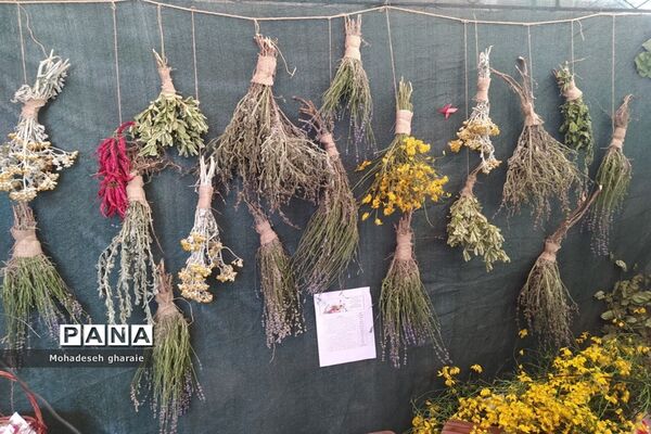 برپایی غرفه پژوهش‌سرای دانش‌آموزی ابوریحان منطقه جوادآباد و دیگر مناطق در بخش کهریزک، شهر ری