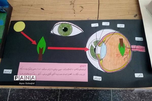 برگزاری نمایشگاه طرح جابربن حیان در دبستان معارف 6 ناحیه 3 شیراز