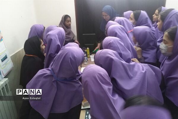برگزاری نمایشگاه طرح جابربن حیان در دبستان معارف 6 ناحیه 3 شیراز