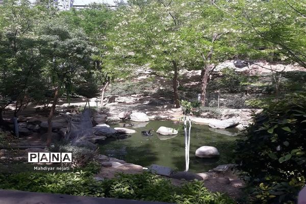 اردوی باغ پرندگان دانش‌آموزان  دبستان دخترانه  سما۲ رودهن