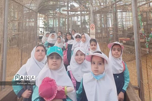 اردوی باغ پرندگان دانش‌آموزان  دبستان دخترانه  سما۲ رودهن