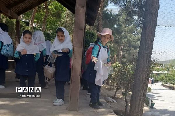 اردوی باغ پرندگان دانش‌آموزان  دبستان دخترانه  سما۲ رودهن