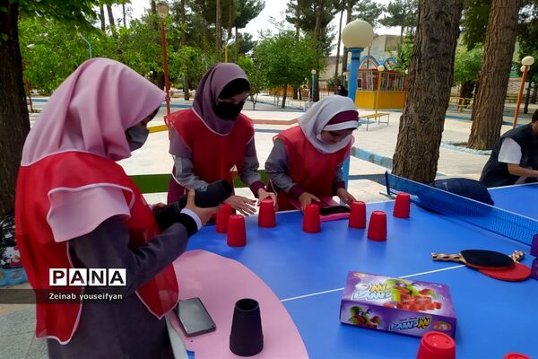 حضور دانش‌آموزان شهرستان اقلید در جشنواره فرهنگی ورزشی بازی‌های فکری مقطع ابتدایی
