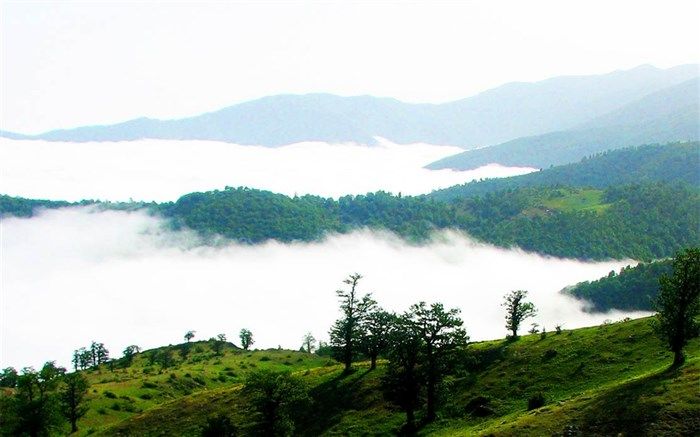 خدمات پنجره واحد مدیریت زمین باید فراگیر باشد