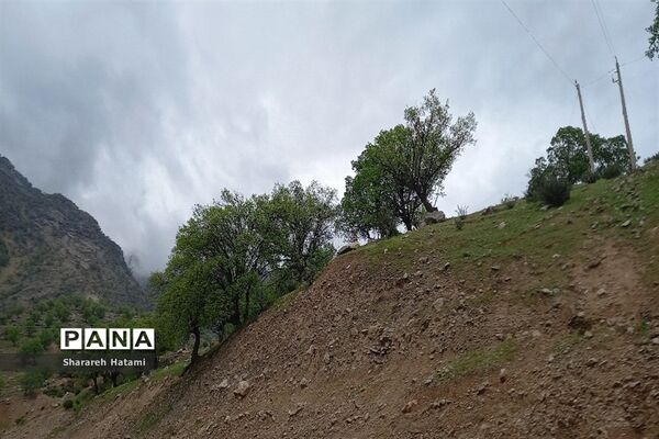 طبیعت سحرانگیز ایذه در فصل بهار