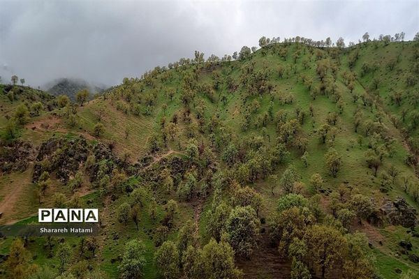 طبیعت سحرانگیز ایذه در فصل بهار