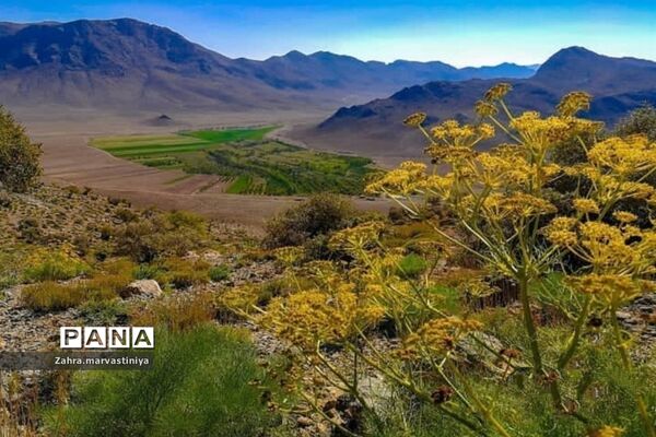 اردوی دانش‌آموزان مروستی در منطقه گردشگری کرخنگان