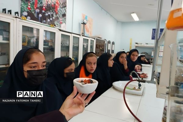 بازدید دانش‌آموزان دبیرستان حضرت زینب(س) از پژوهش‌سرای دانش‌آموزی جابربن‌حیان فشافویه