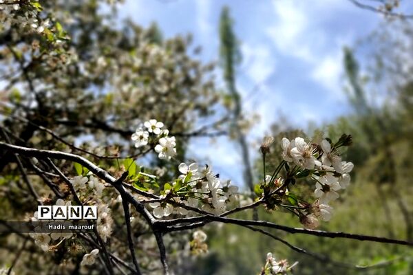 اردوی یک‌روزه طبیعت‌گردی توسط انجمن کوهنوردی بهارستان دو