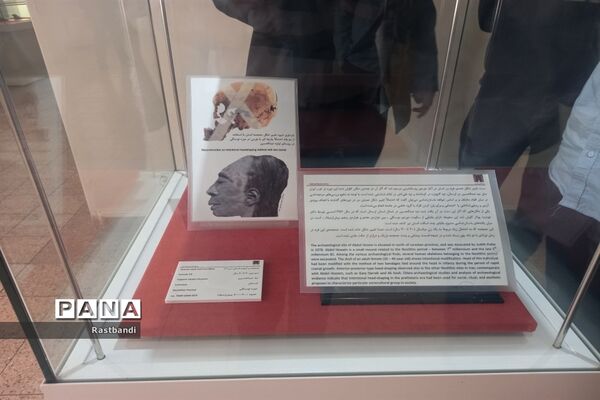 بازدید دانش‌آموزان دبیرستان عرفان منطقه ۱۳ از موزه ملی ایران