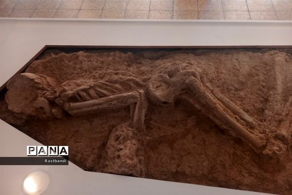 بازدید دانش‌آموزان دبیرستان عرفان منطقه ۱۳ از موزه ملی ایران