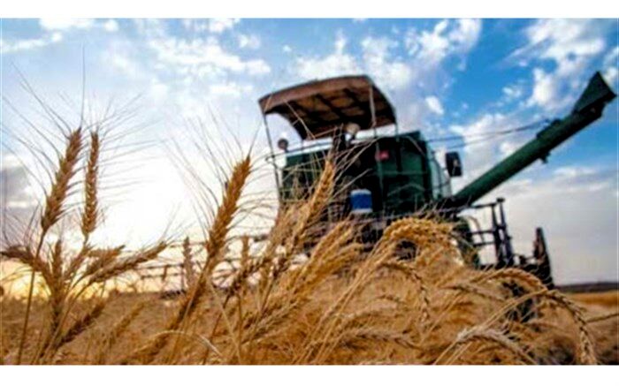 آمادگی کامل تعاون روستایی برای خرید تضمینی گندم
