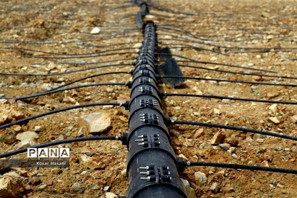 مس سونگون در مسیر آینده‌ای پرنور