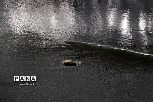 مس سونگون در مسیر آینده‌ای پرنور