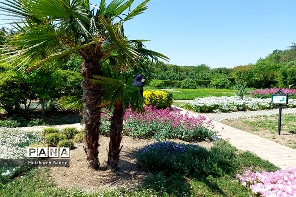 بازدید دانش‌آموزان آموزشگاه فرزانگان اسلامشهر از باغ گیاه‌شناسی ملی ایران