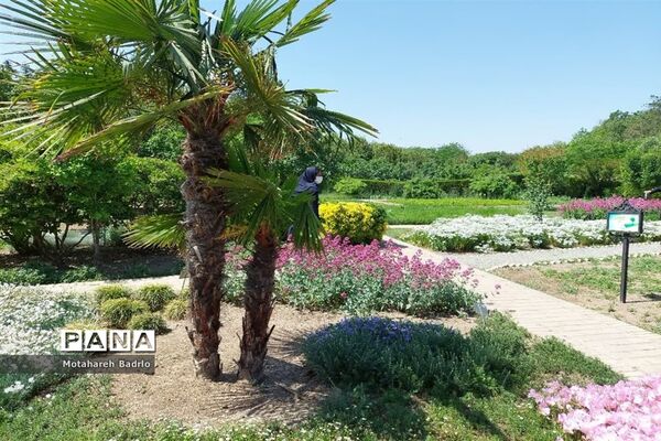 بازدید دانش‌آموزان آموزشگاه فرزانگان اسلامشهر از باغ گیاه‌شناسی ملی ایران