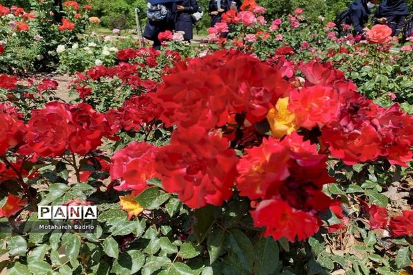بازدید دانش‌آموزان آموزشگاه فرزانگان اسلامشهر از باغ گیاه‌شناسی ملی ایران
