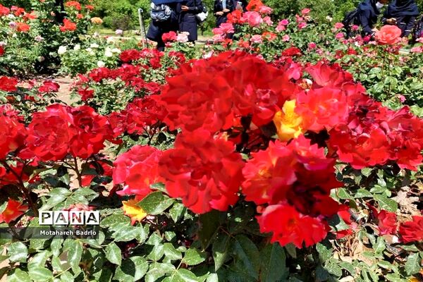 بازدید دانش‌آموزان آموزشگاه فرزانگان اسلامشهر از باغ گیاه‌شناسی ملی ایران