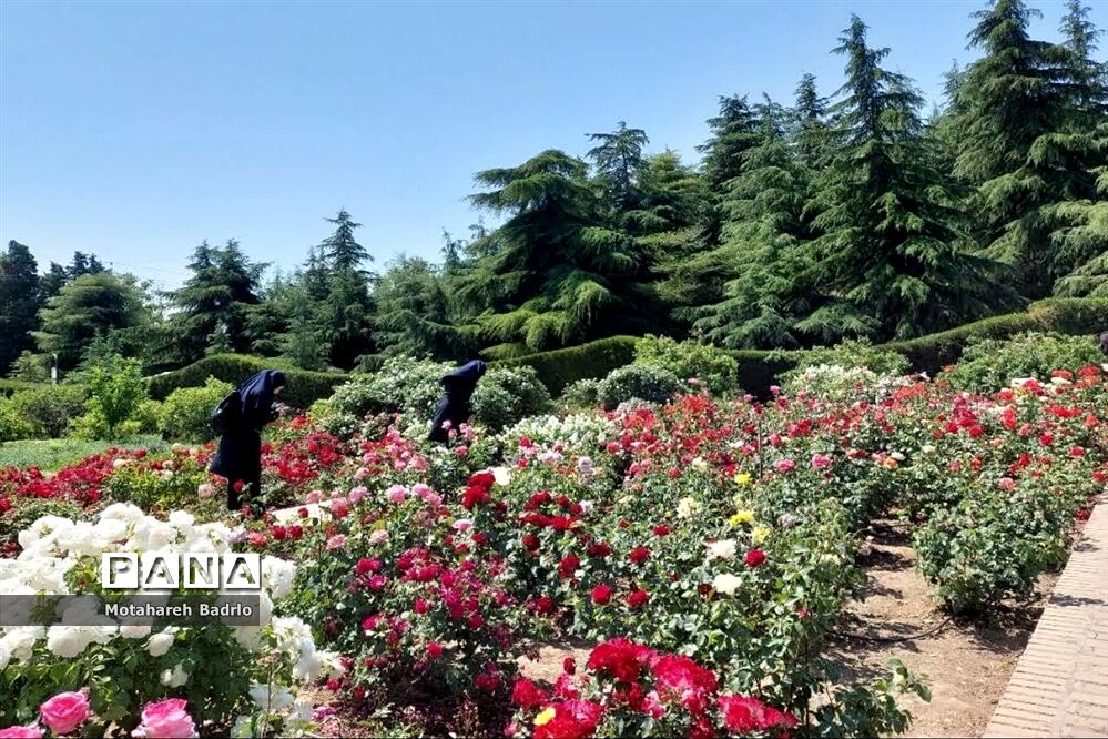 بازدید دانش‌آموزان آموزشگاه فرزانگان اسلامشهر از باغ گیاه‌شناسی ملی ایران