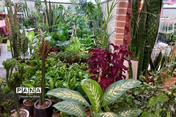 دومین نمایشگاه گل و گیاه در شهرستان قرچک‌