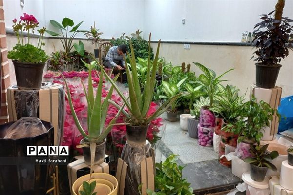 دومین نمایشگاه گل و گیاه در شهرستان قرچک‌