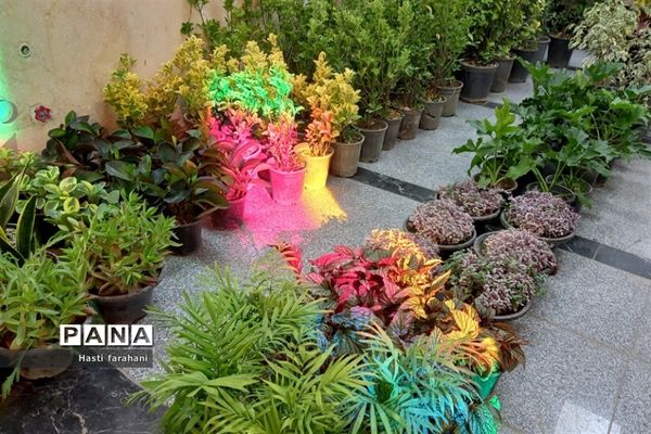 دومین نمایشگاه گل و گیاه در شهرستان قرچک‌