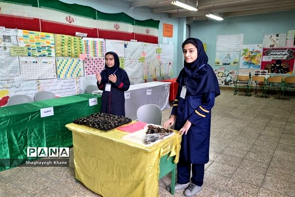 ‌جشنواره خوارزمی در مدرسه مهربانان ملارد