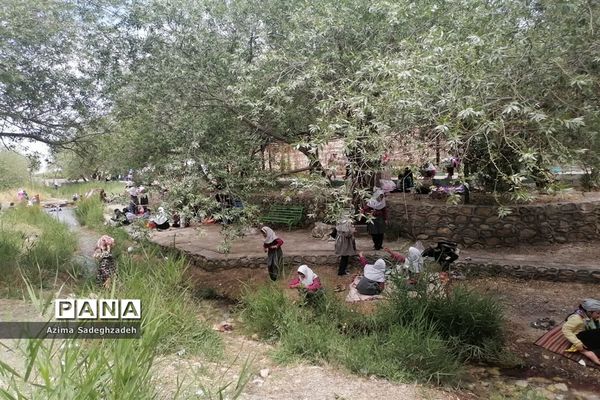 اردوی تفریحی دانش‌آموزان دبستان حضرت زینب(س) شهرستان خاتم