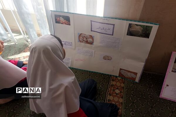 نمایشگاه طرح جابربن حیان دبستان شهید نجاتی ابرکوه