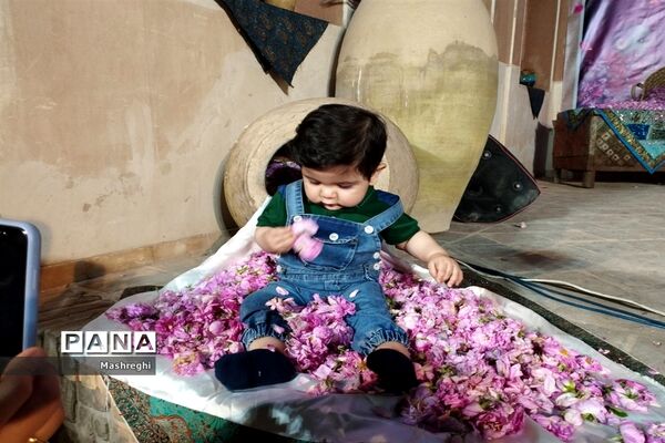 آیین ملی گل غلتان در خانه  تاریخی آل یاسین کاشان