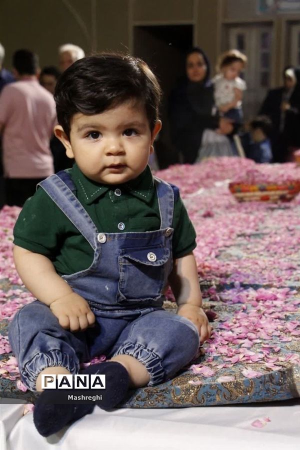 آیین ملی گل غلتان در خانه  تاریخی آل یاسین کاشان