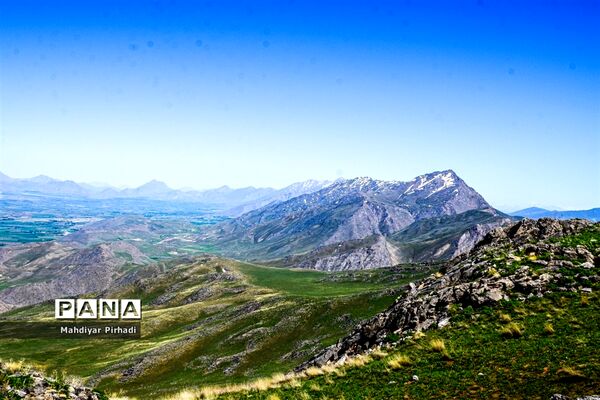 دشت لاله‌های واژگون در اراک