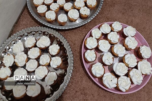 برگزاری مراسم ولادت حضرت معصومه در شهرستان قرچک