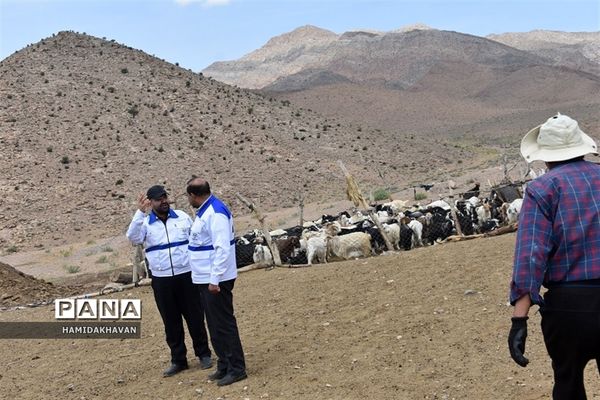 آغاز به‌کار اردوی جهادی‌  واکسیناسیون دامپزشکی در بهاباد