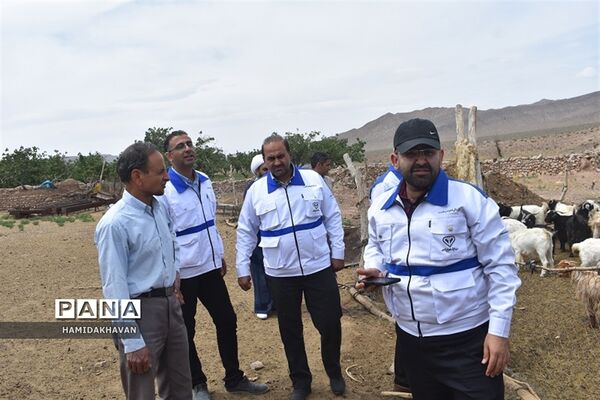 آغاز به‌کار اردوی جهادی‌  واکسیناسیون دامپزشکی در بهاباد