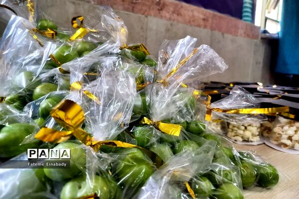 جشن فارغ‌التحصیلی و روز دختر در مدرسه حاجیه نوری ملارد