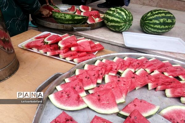 اردوی تفریحی دانش‌آموزان دبستان شاهد شهرستان ابرکوه