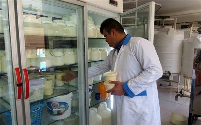 افزایش قیمت لبنیات تخلف است