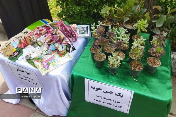 برگزاری جشن بزرگ دختران آینه در پارک بانوان شهرستان قرچک