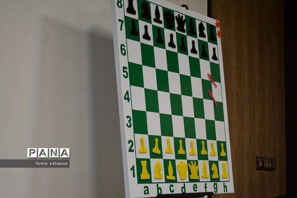 برگزاری کارگاه شطرنج در اداره آموزش و پرورش بهارستان۲