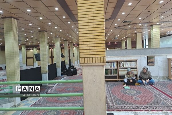 آستان مقدس حمیده خاتون و سید جعفر باغ فیض پونک