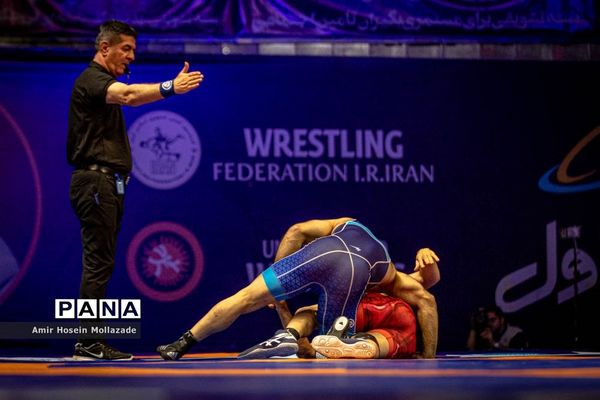 چهل و سومین دوره مسابقات کشتی آزاد جام تختی