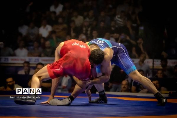 چهل و سومین دوره مسابقات کشتی آزاد جام تختی