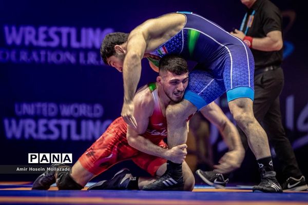 چهل و سومین دوره مسابقات کشتی آزاد جام تختی