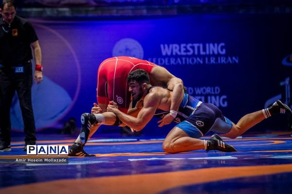 چهل و سومین دوره مسابقات کشتی آزاد جام تختی