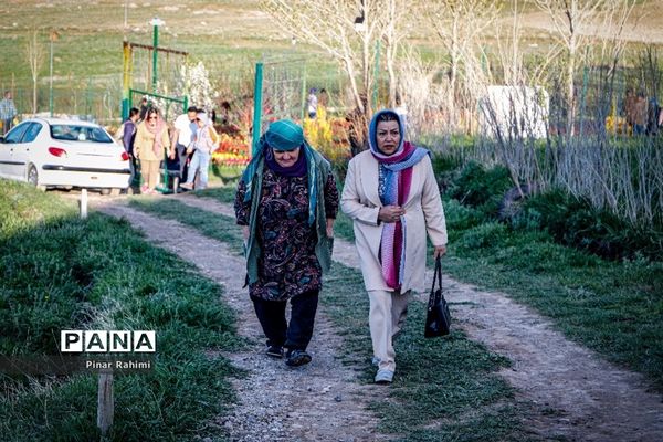 مزرعه لاله در روستای «اسپره خون» تبریز