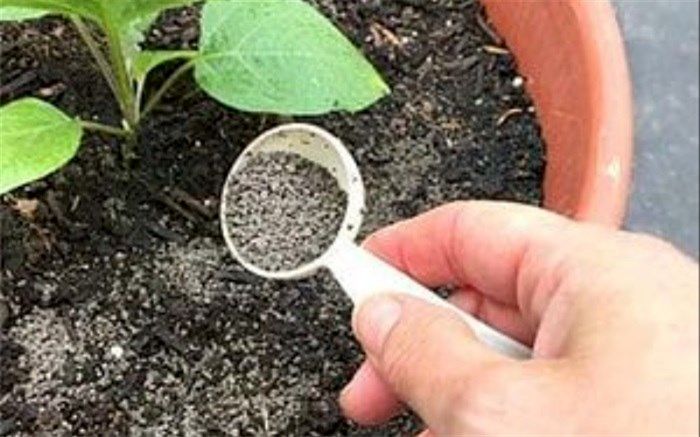 تدوین بیش از 50 عنوان دستورالعمل کاربردی مصرف کود