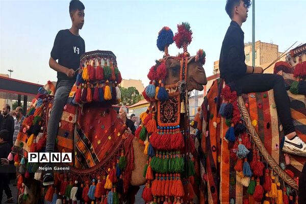 کاروان نمادین «اسرای کربلا» هیات دخیل العباس