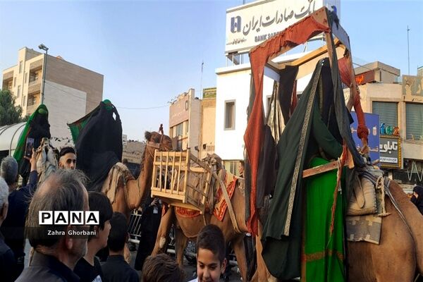 کاروان نمادین «اسرای کربلا» هیات دخیل العباس