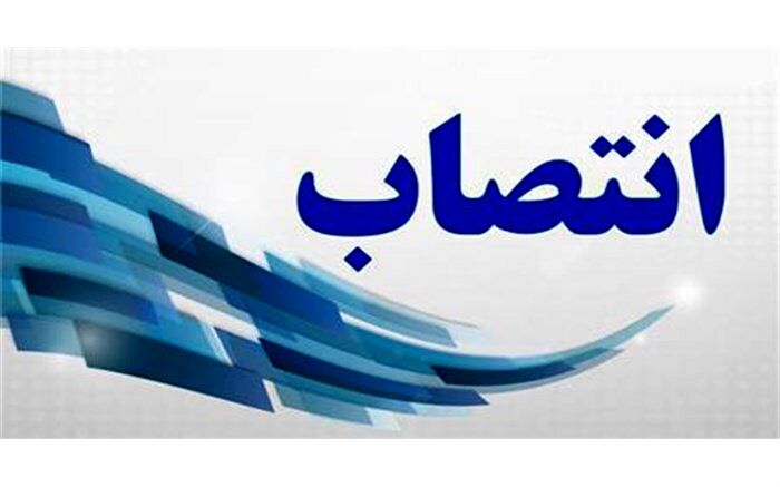 «مهرداد عظیمی» رئیس سازمان آموزش فنی‌و‌حرفه‌ای کشور شد